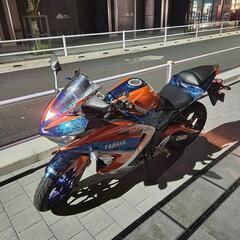 【希少カラー・エンデュランスキャリア付】YAMAHA YZF-R25（2015-16年式）の画像
