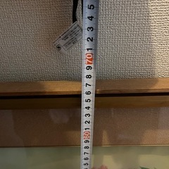 　ラストチャンス　(7月末処分予定)真作 佐藤高城 日本画「牡丹」の画像