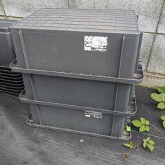 めだか使用ＮＶBOX13