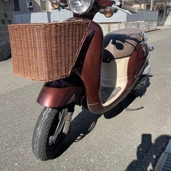 ホンダ　原付　ジョルノ　の画像