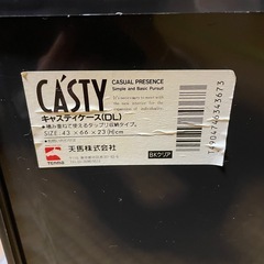 衣装ケース CASTY 2個セットの画像