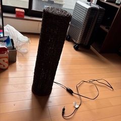 ライト