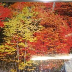 ジグソーパズル 竜頭の滝　額入り　額大きさ　縦51㎝横74㎝の画像