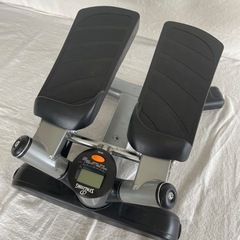 スポルディング　ミニツイストステッパーの画像