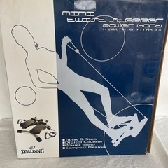 スポルディング　ミニツイストステッパーの画像