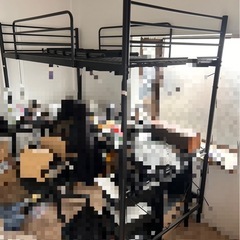 ロフトベット 黒