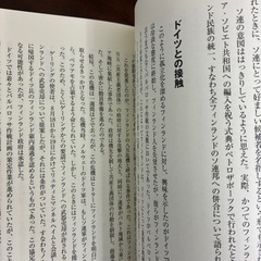 フィンランド軍入門の画像