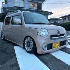 ココア　MT載せ替え