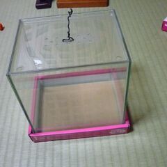 【小型水槽Ｌサイズ】稚魚やショーベタ等に　ガラス製品の画像