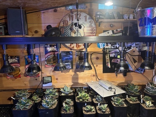 植物育成ライトライトフルセット！