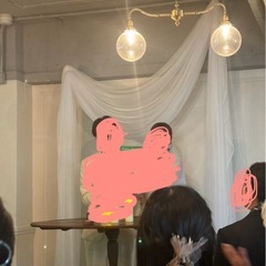チュール系布2種　9mずつ計18mの画像