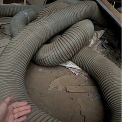 排気用ホースの画像