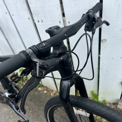 キャノンデール バットボーイ 29erの画像
