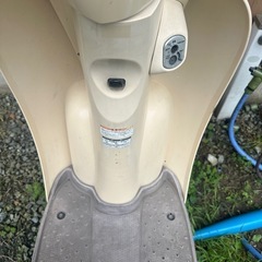 HONDA スクーピー　実動原付　メットインスクーター　バイク　...