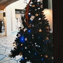 中古クリスマスツリー🎄の画像