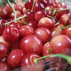 ③（取引者決まりました）　高砂　はねだし　1キロ