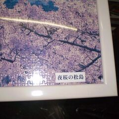  ジグソーパズル 夜桜の松島　額入り 　額大きさ縦54㎝横79㎝の画像