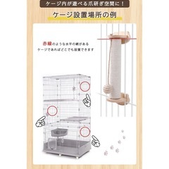 爪研ぎ　おもちゃ付きの画像