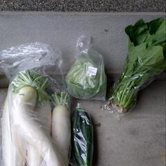 野菜