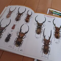 昆虫　立体切り折り紙の本（型紙付き）の画像