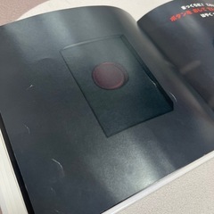 絵本　ぜったいにおしちゃダメ？の画像