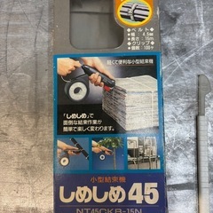 インシュロックの様な物。