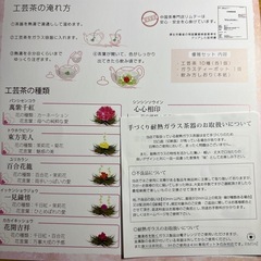 【未使用】リムテー　耐熱ガラスティーポットの画像