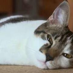 睡眠とれてますか？【募集】