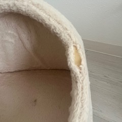 猫　ベッドの画像