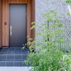 引き取り先が決まりました！！ありがとうございました😊　　　　　福...