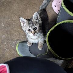 かわいがってくれる人