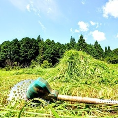 🌱‬‪草刈りはお任せ！🌱‬‪他店様お見積もり、以前のご請求…