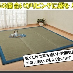 未開封新品 い草上敷ボリュームクッションラグ 133cm×200cm 日本産 の画像