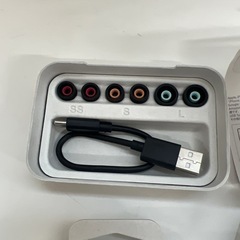 【美品・使用頻度少】SONY WF-1000XM5の画像