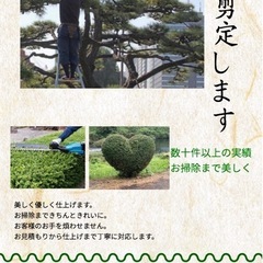 お庭のお困り事承ります！！