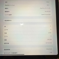 iPad Pro256GB    セルラーモデル