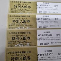 万葉の湯 温泉 入館チケット2枚(小田原.町田.秦野,横浜みなと...