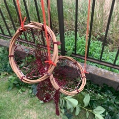 🐟魚釣り🎣用のビク、無料🆓であげますの画像