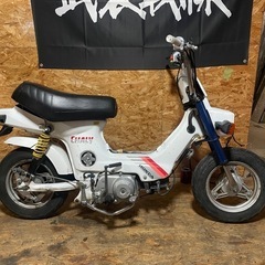 シャリー  50cc
