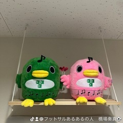 6/22(日)19:00〜21:00 芝園フットサル場　参…