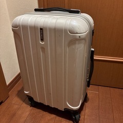 お話し中です。　　　　　機内持ち込みサイズ　キャリーバッグ
