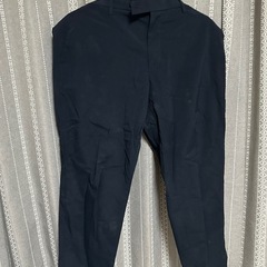 【売却済】夏用スーツ上下セット　Lサイズの画像