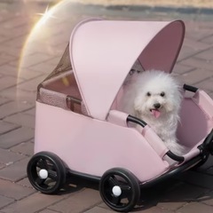 ペット用キャリアカーの画像