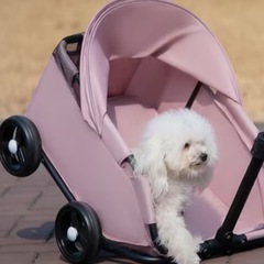 ペット用キャリアカー