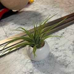 フェイク　ガーデニング