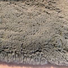 フランフランカーペットの画像