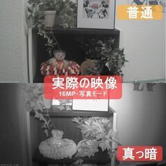 トレイルカメラ　電池式　室外防犯カメラ　人感センサー　防水赤外線　日本語説明付きの画像