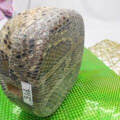 新品未使用P15現品販売(送料無料)12.000円　沖縄三線専用蛇皮強化張チーガ 胴巻き付の画像