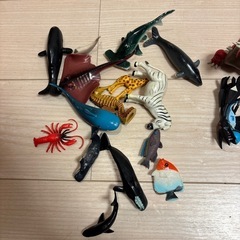 海の生き物フィギュア
