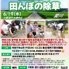 令和７年度　スマイルクラブ😊稲作体験イベント　自然農法の田…